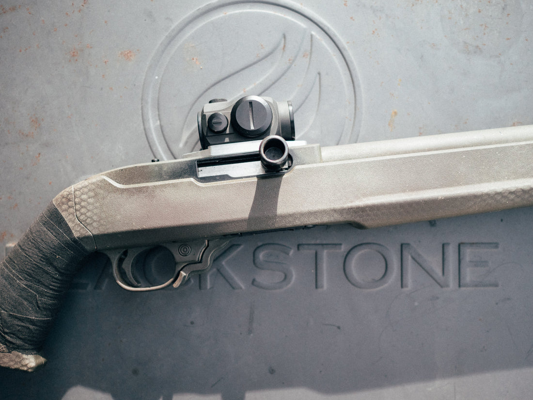 Prototype Ruger 10/22 Aimpoint Micro Mount